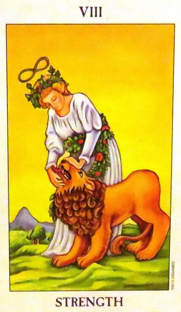 The Strength Card reflects confidence, inner strength, determination, commitment, patience, and intelligence. 