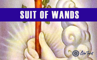 SUIT OF WANDS