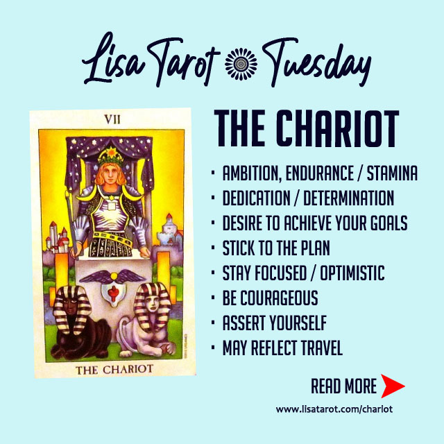 With the Chariot’s energy on your side, this is the time to tap into your inner strength and willpower to get things done.