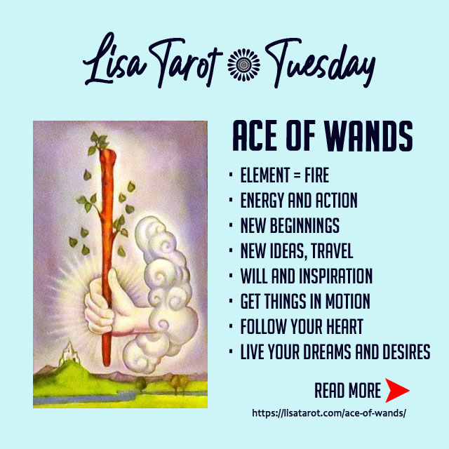 The Ace of Wands is a spark of new beginnings, new ideas, travel, will and inspiration. It embraces creative ventures both professional and personal. 